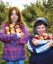Winsted Orchard