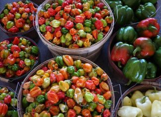 The ABCs of CSAs: 2014