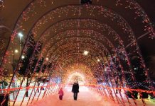 18 Fun Minnesota Winter Activities and Holiday Festivals For Kids and Adults.