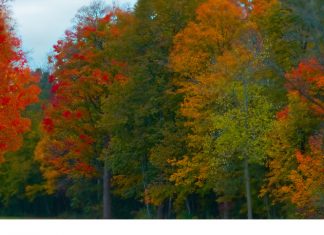 Hit the Road for a Fall Weekend in Alexandria, Minnesota