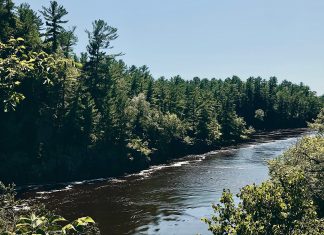 Day Trip to Taylors Falls