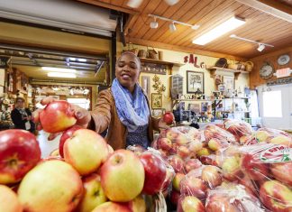 Fall Retreats in the Midwest Woman picking out apples from a bin