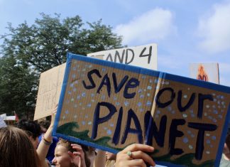 4 Environmentally Friendly Activities to Do this Summer environmentally friendly activities