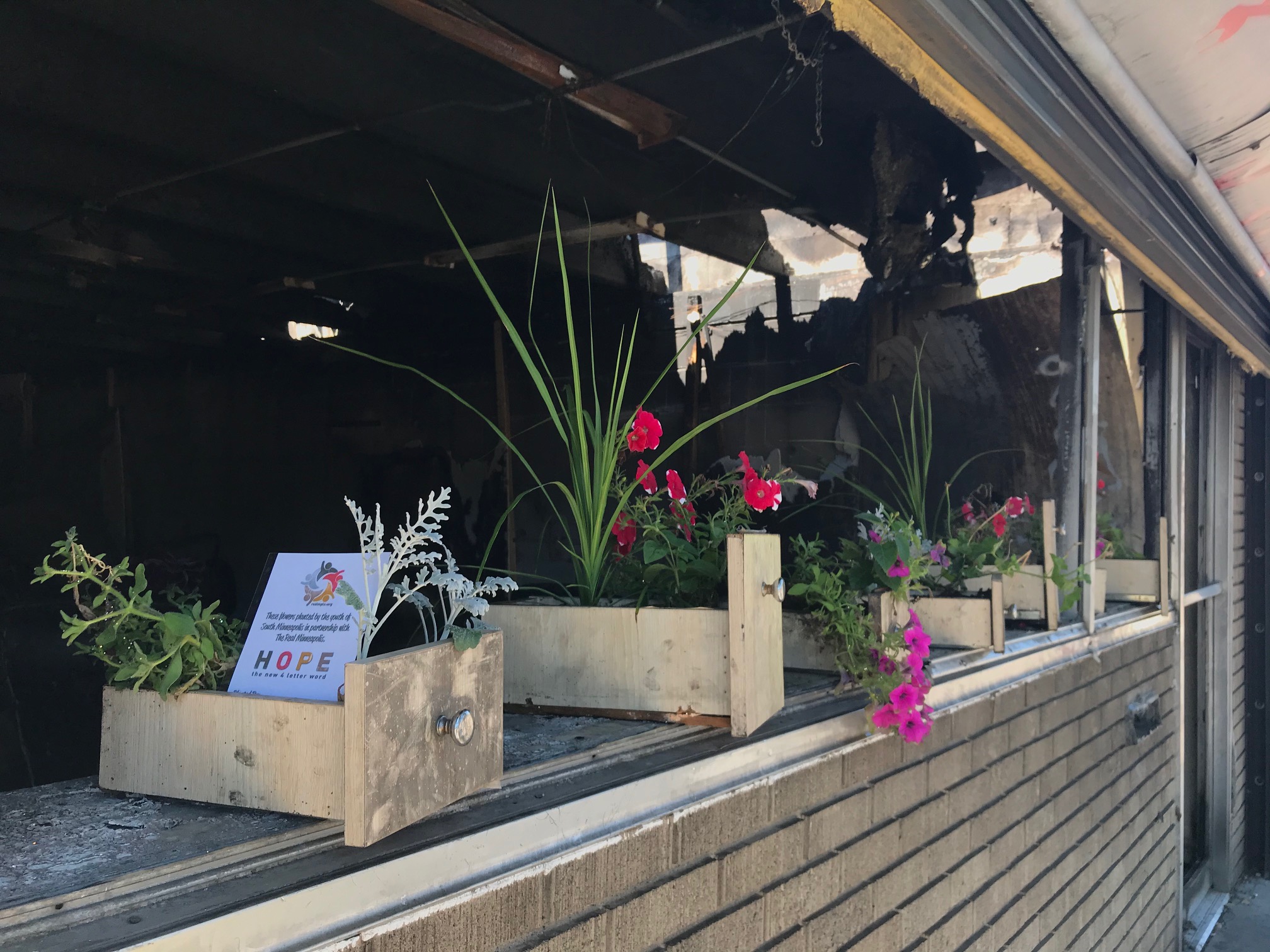 Flowers set out by The Real Minneapolis in an uprising-impacted building on Lake Street and Chicago Avenue in south Minneapolis
