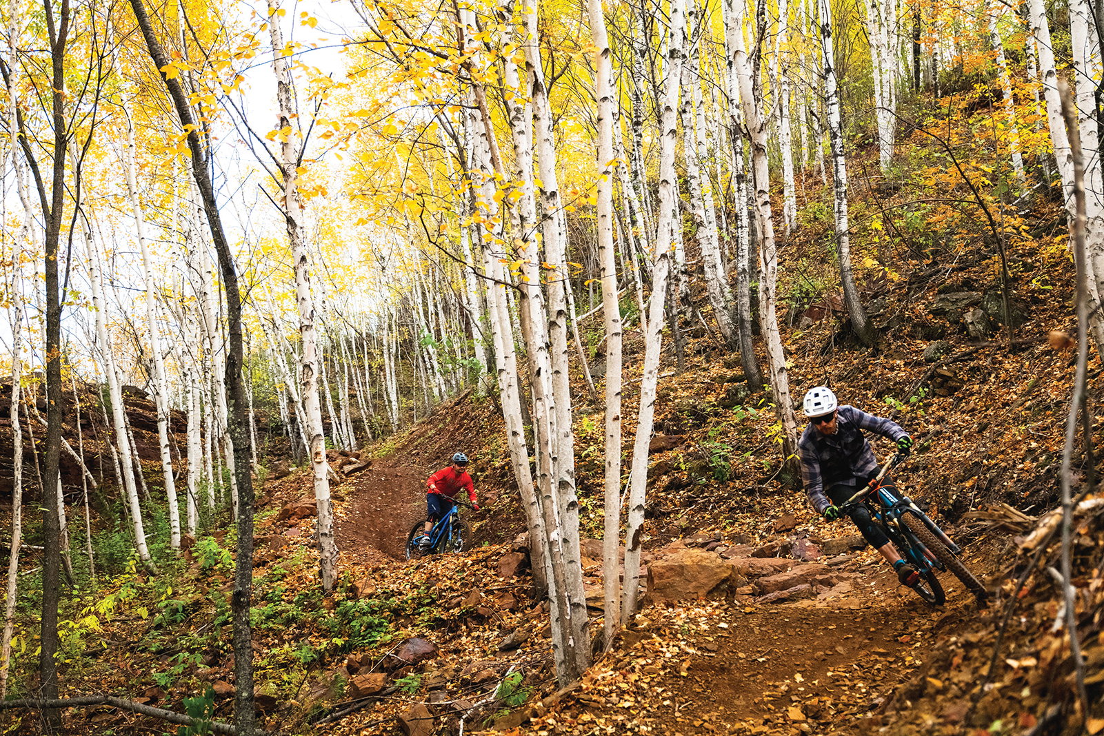 Redhead Mountain Bike Park