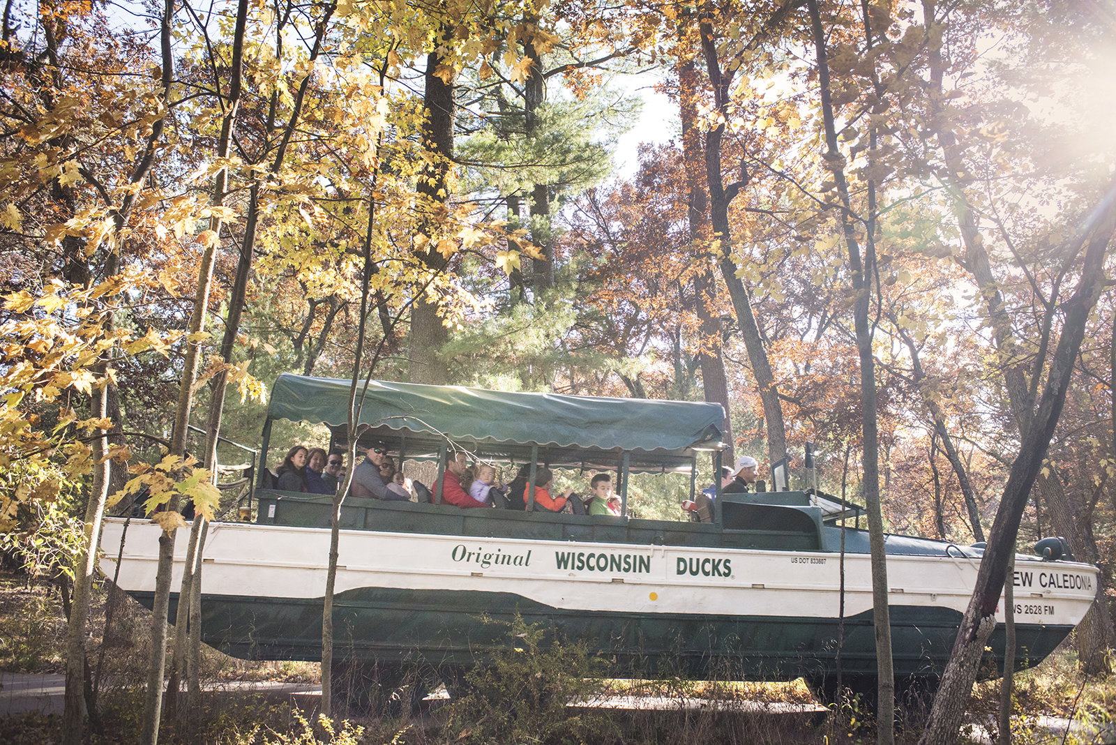 Wisconsin Ducks