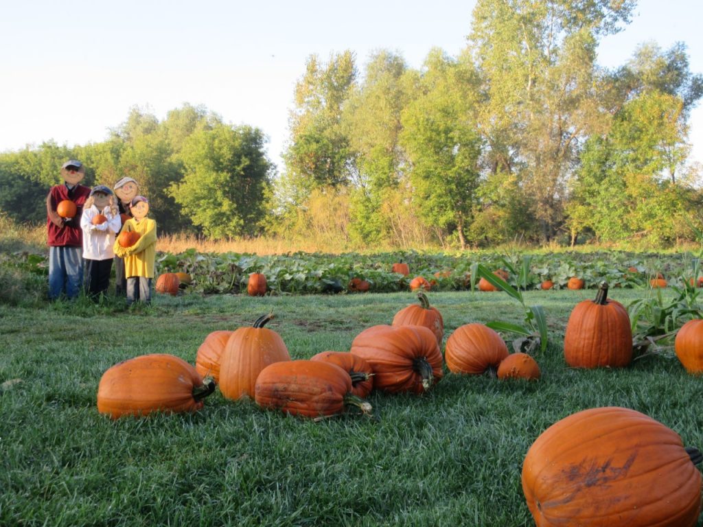 Center Creek Apple Orchard - Visit Fairmont