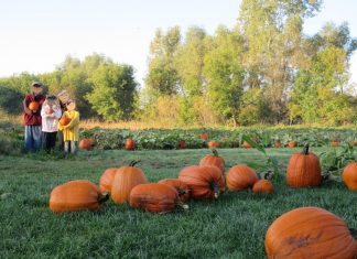 Center Creek Apple Orchard - Visit Fairmont