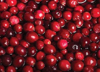 How to Make the Most of Cranberry Season in Central Wisconsin