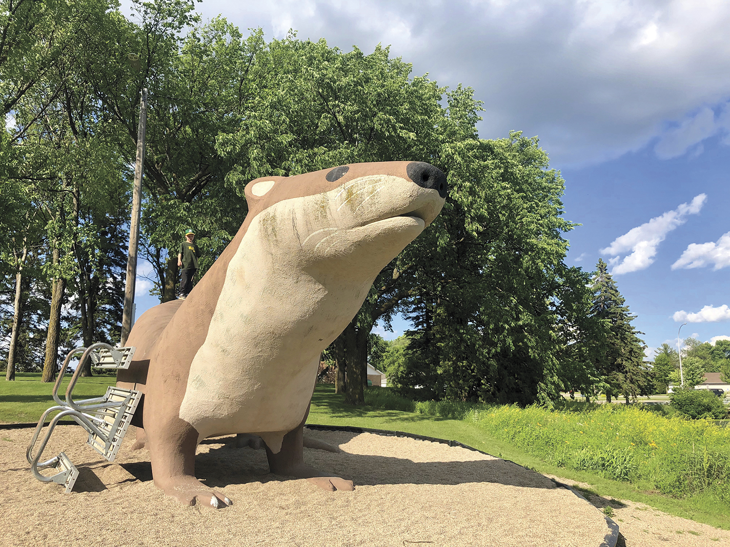 Otto the Otter in Adams Park