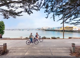 Seeing Monterey County: Sea Lions and So Much More