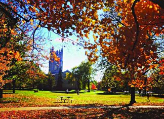 Discover Northfield’s Unique Charm
