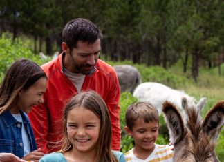 Summer Adventure in the Black Hills & Badlands