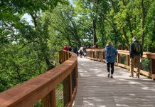 Treetops, Trails, and a Whole New Gateway