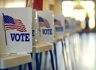 Minnesota Primaries: What You Need to Know