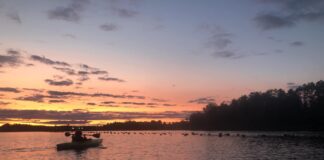 Wander Into Wisconsin