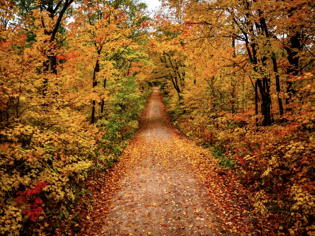 Bemidji in the fall