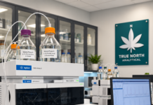 Putting Cannabis to the Test